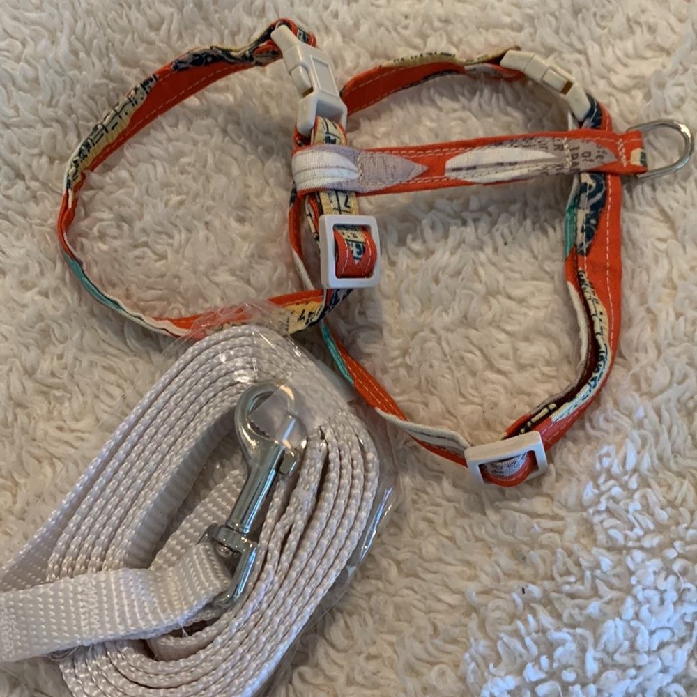 Small Cat Harness Surfboard and leash